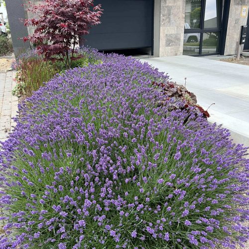 Duffenterstrasse Stolberg (1)