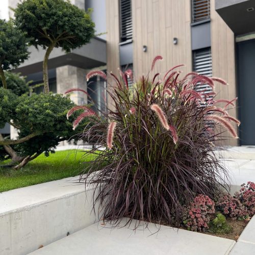 Duffenterstrasse Stolberg (23)