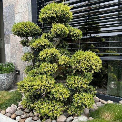 Duffenterstrasse Stolberg (4)